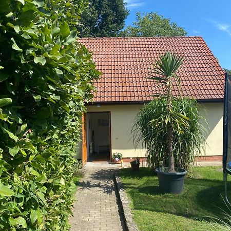 Nordwind Sjut Apartment Warnow  Exterior photo